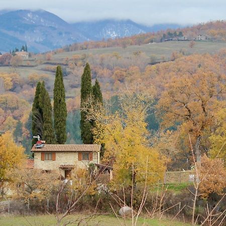 Agriturismo Mandrioli Pratovecchio Exterior foto